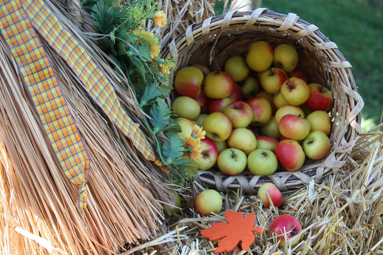 apple customs fruit free photo