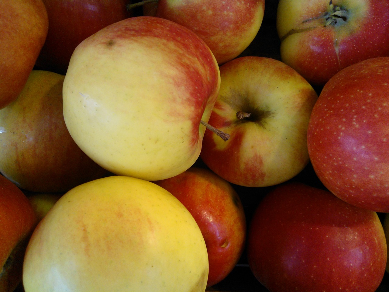 apple fruits fruit free photo