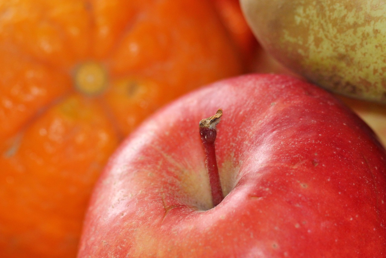 apple fruit fruits free photo