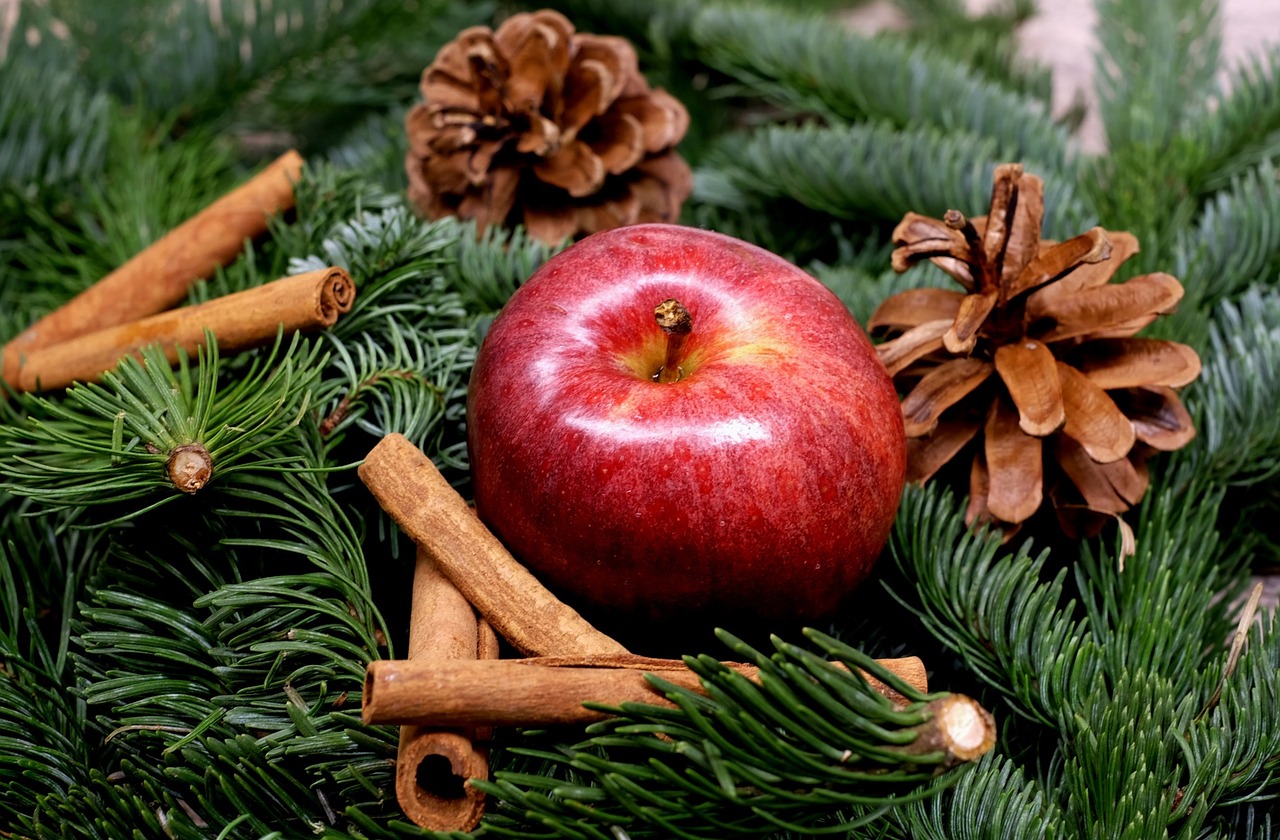 apple fruit red free photo