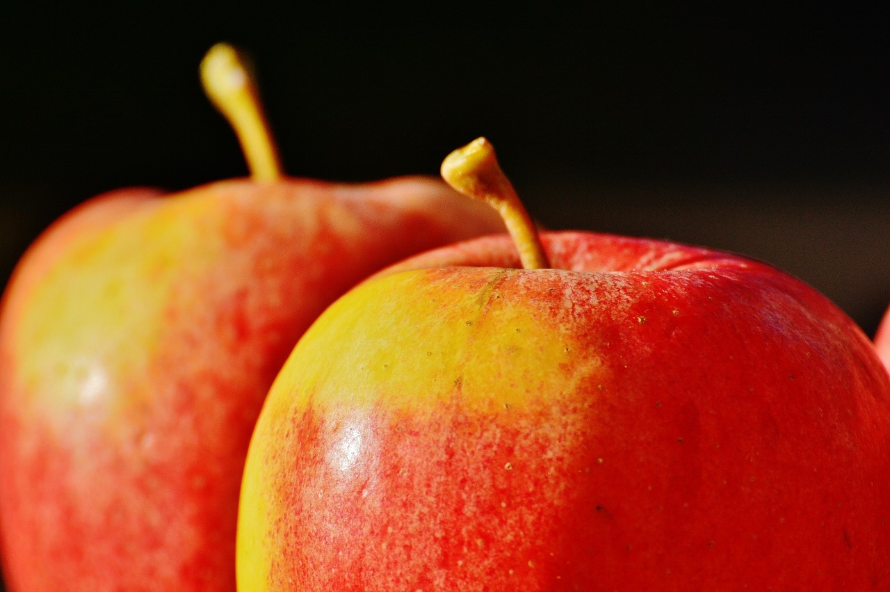 apple fruit delicious free photo