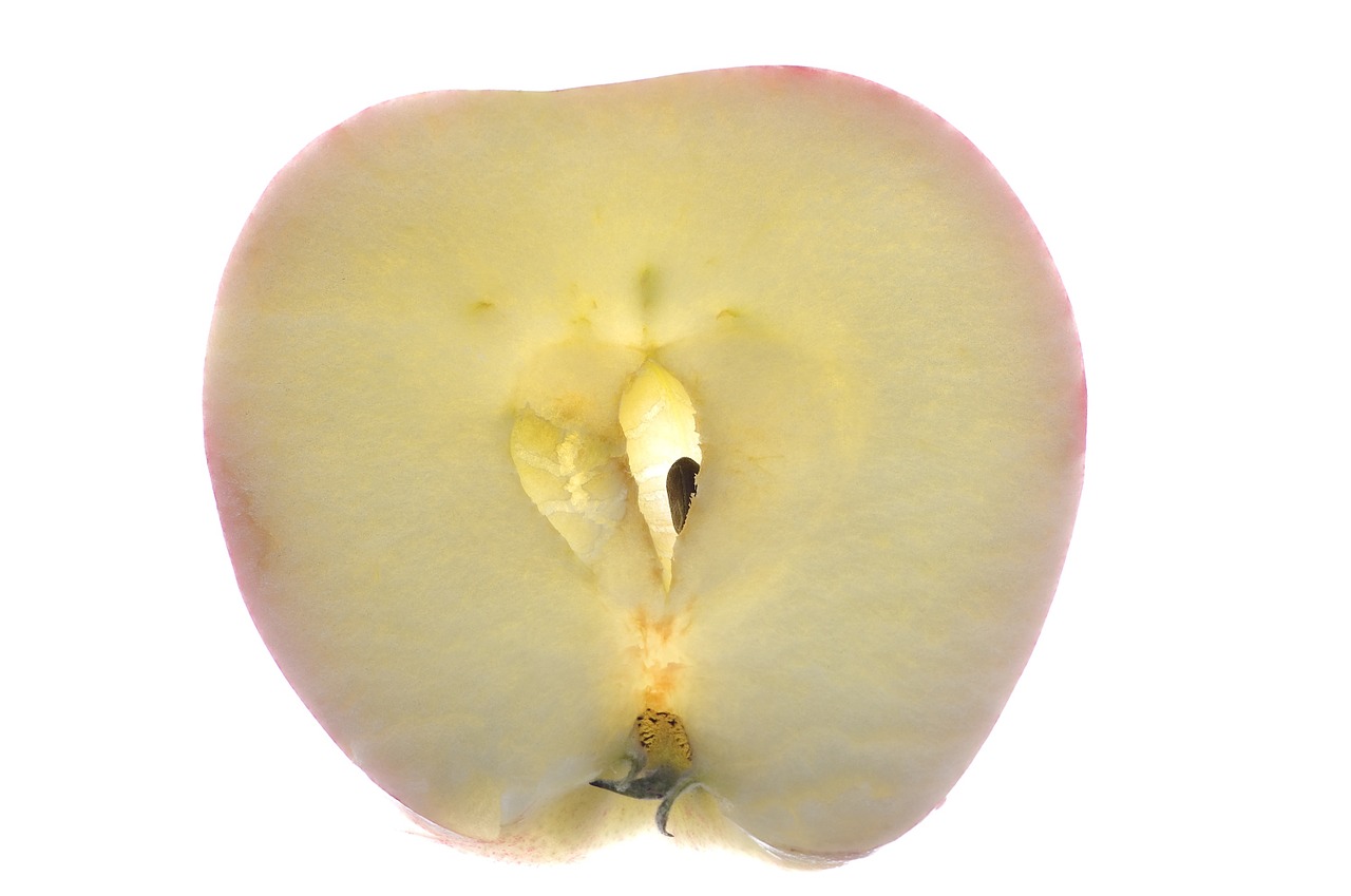 apple macro fruit free photo