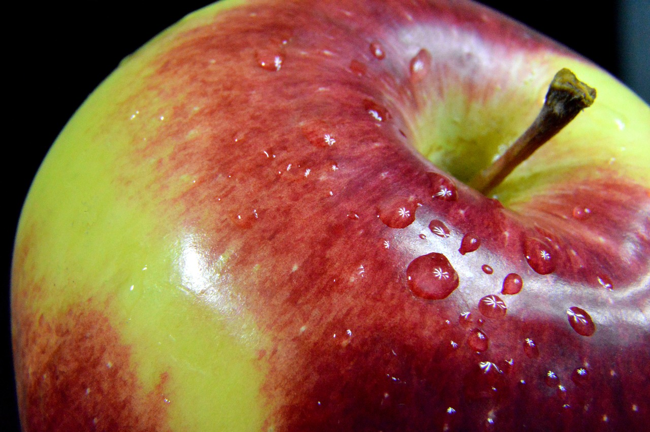 apple fruit apples free photo