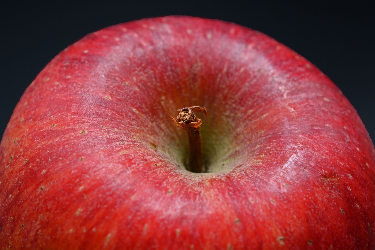 apple fruit red free photo