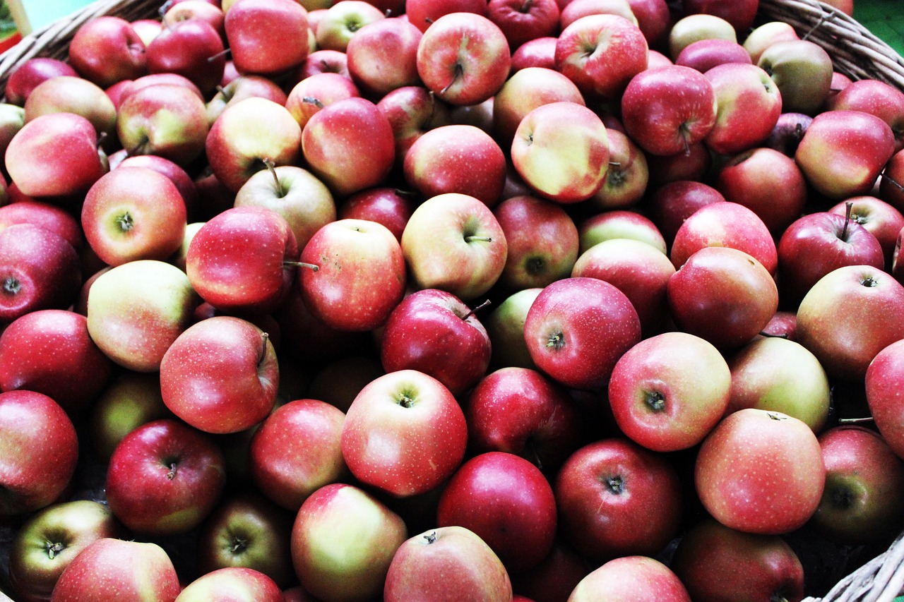 apple fruit thanksgiving free photo