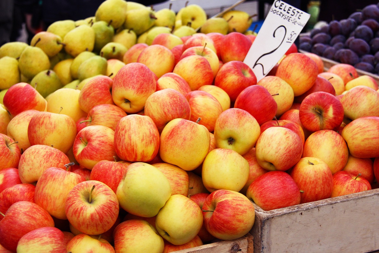 apple fruits fresh free photo
