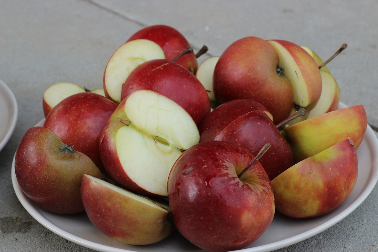 apple fruit apple slices free photo