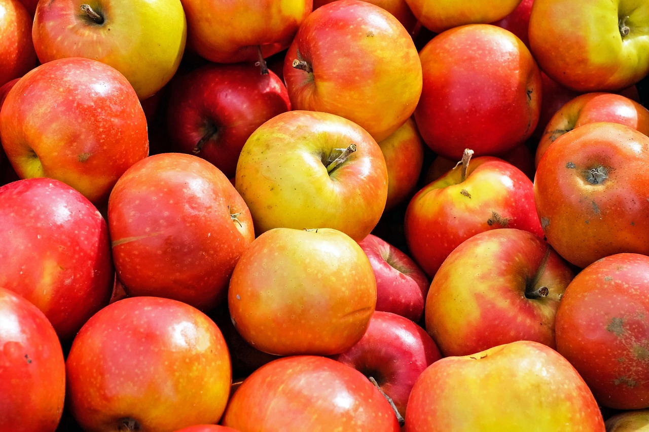 apple fruit fruits free photo