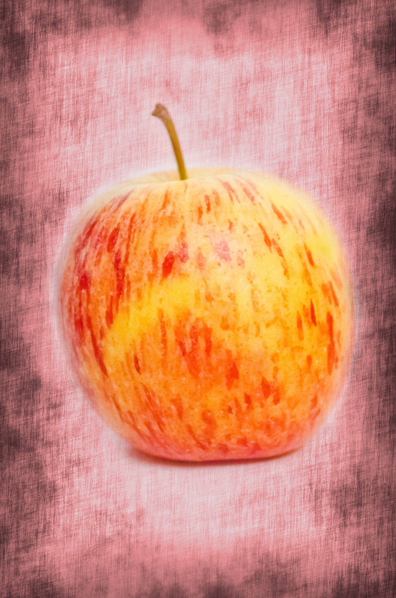 apple red white free photo