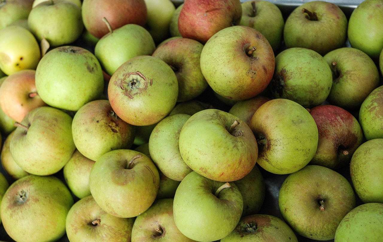 apples natural food free photo