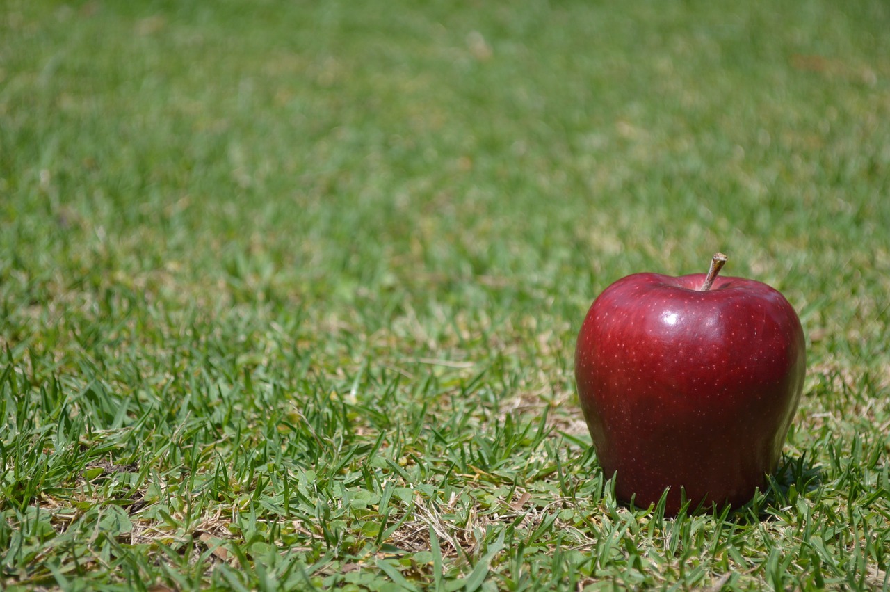 apple fruit food free photo