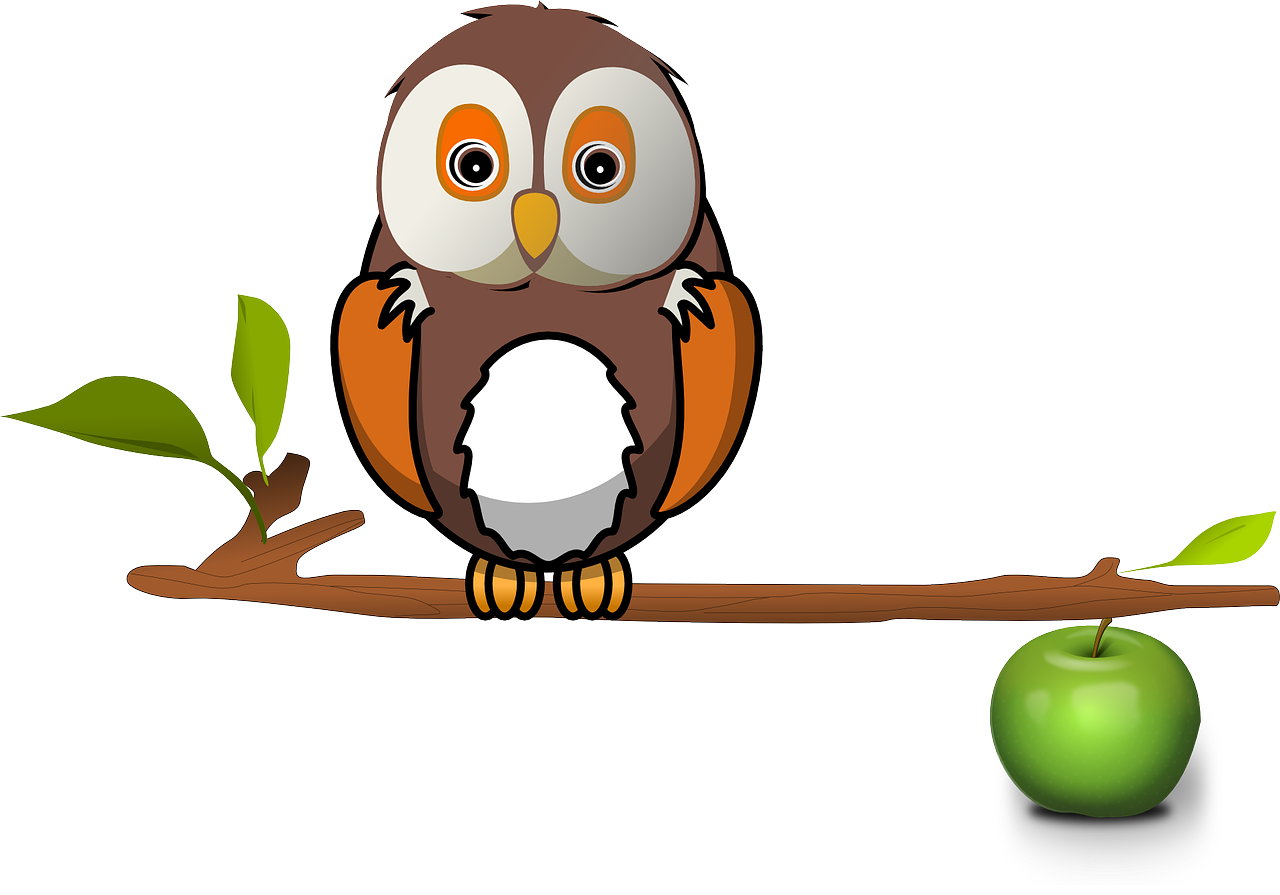 apple branch owl free photo