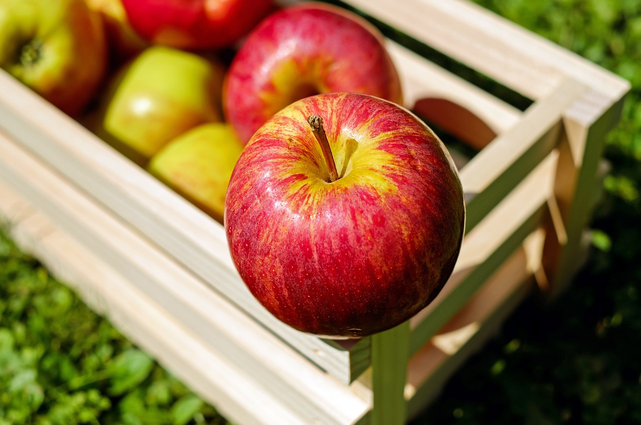 apple red fruit free photo