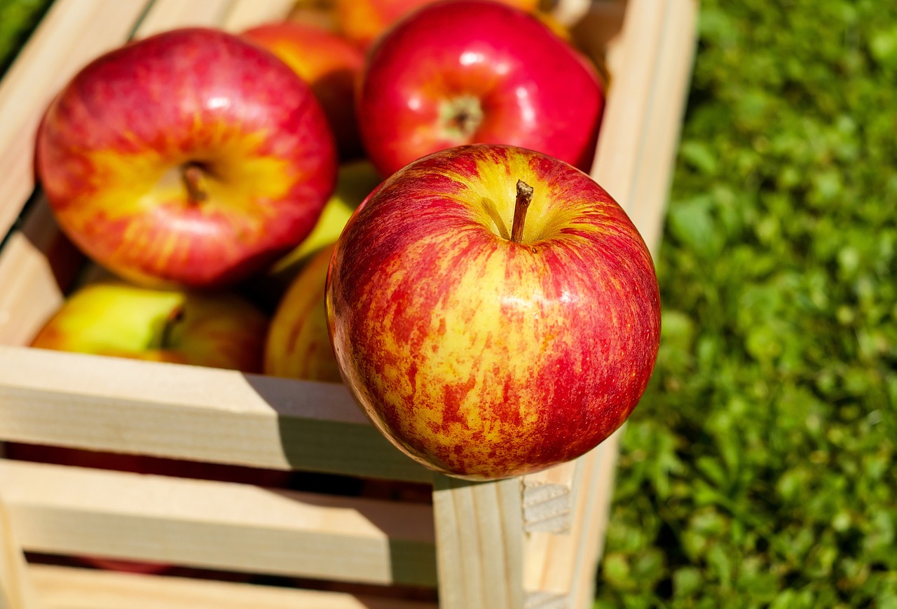 apple red fruit free photo