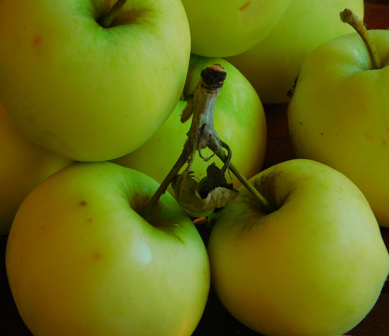 apple fruit fruits free photo