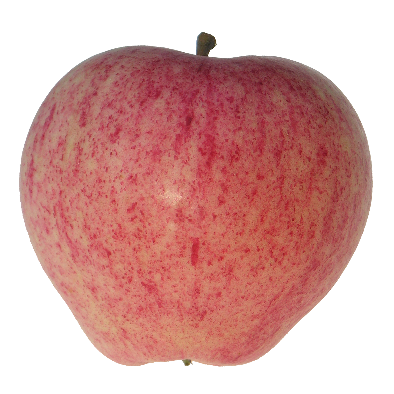 apple red taustaton free photo