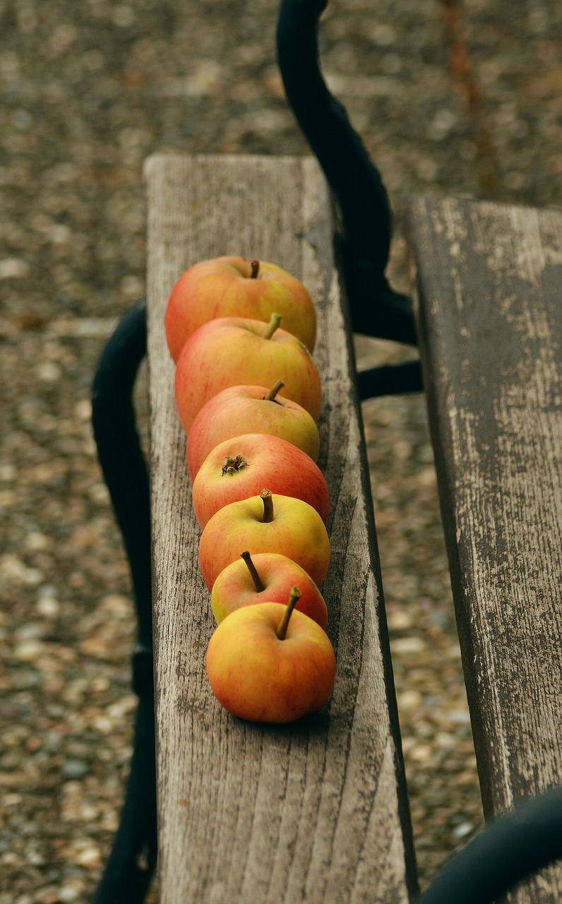 apple goldparmäne fruit free photo