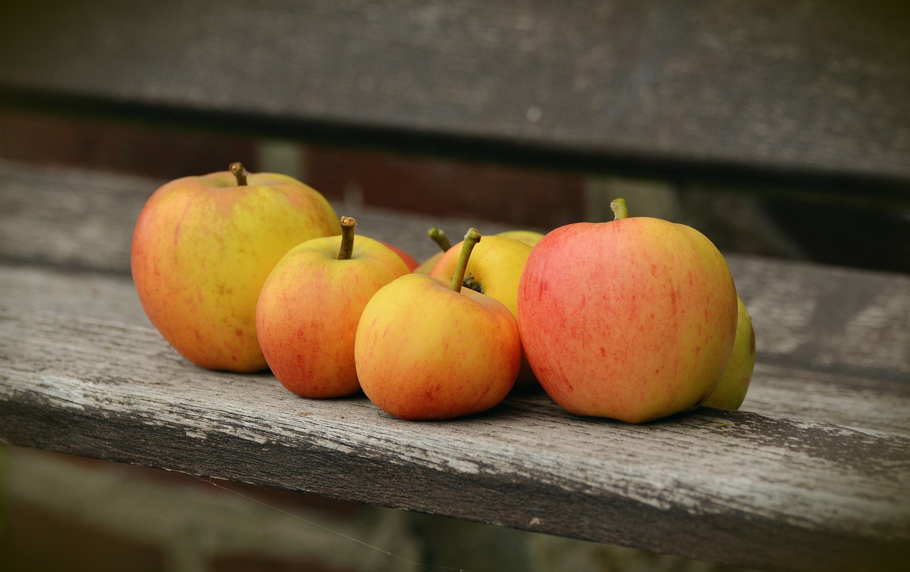 apple goldparmäne fruit free photo