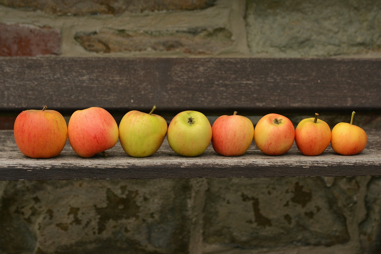 apple goldparmäne fruit free photo