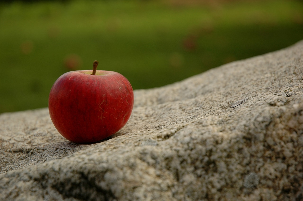 apple red food free photo