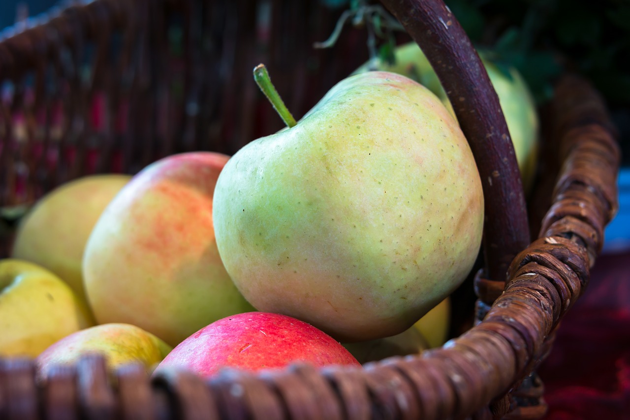 apple basket thanksgiving free photo