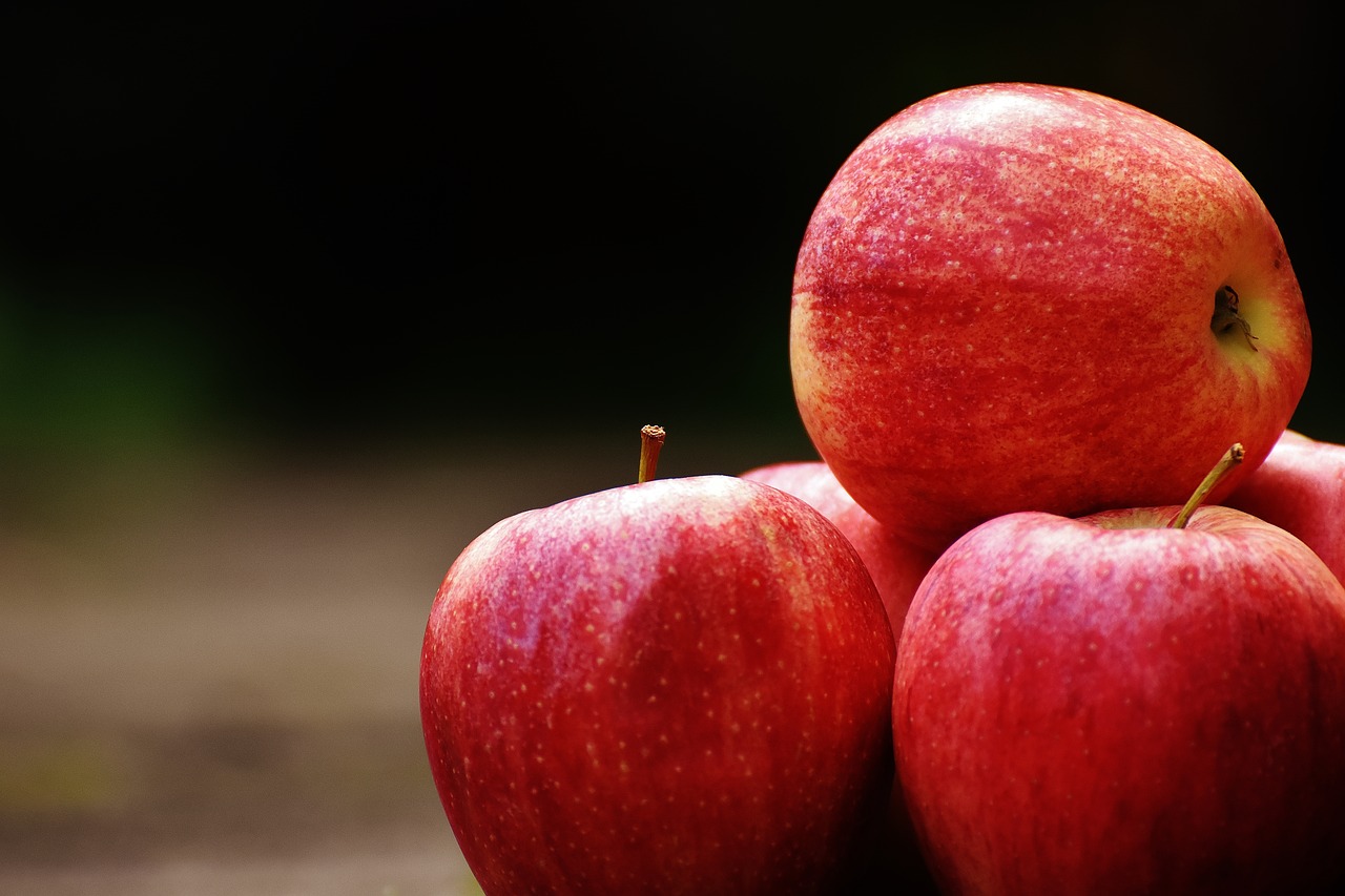 apple red delicious free photo