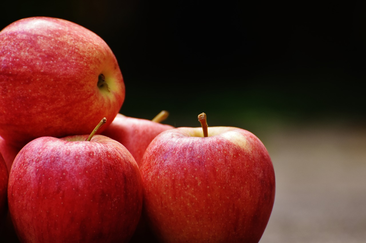 apple red delicious free photo