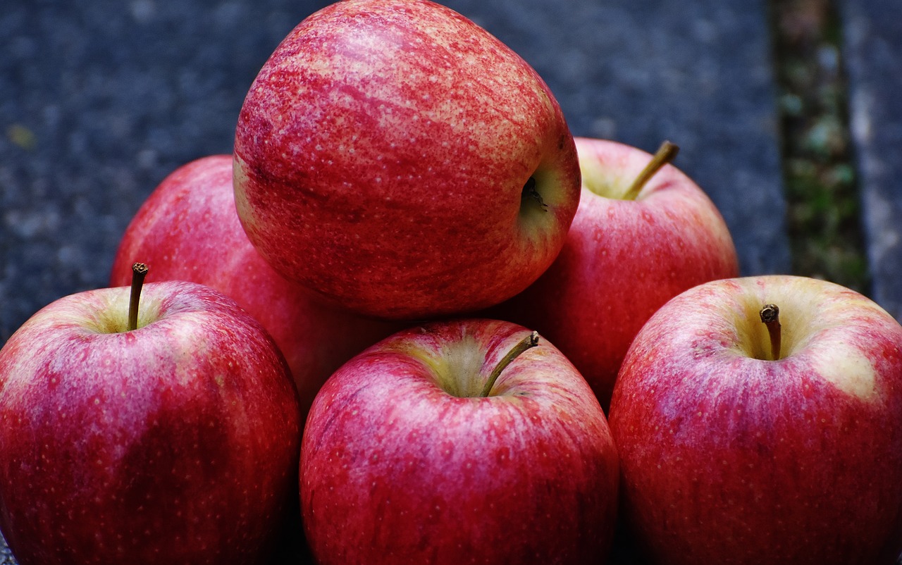 apple red delicious free photo