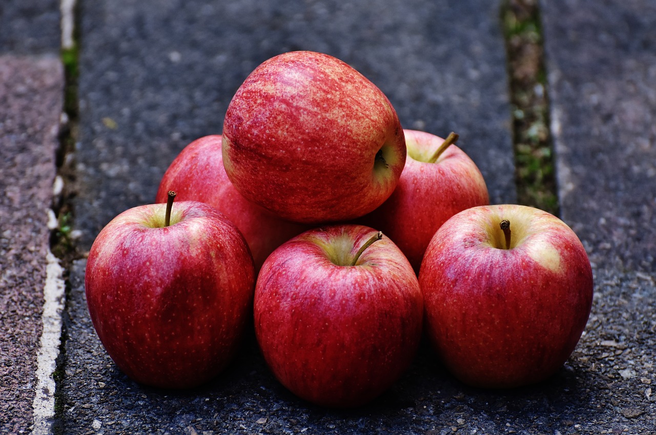 apple red delicious free photo