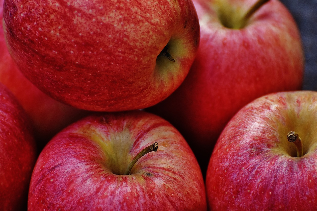 apple red delicious free photo