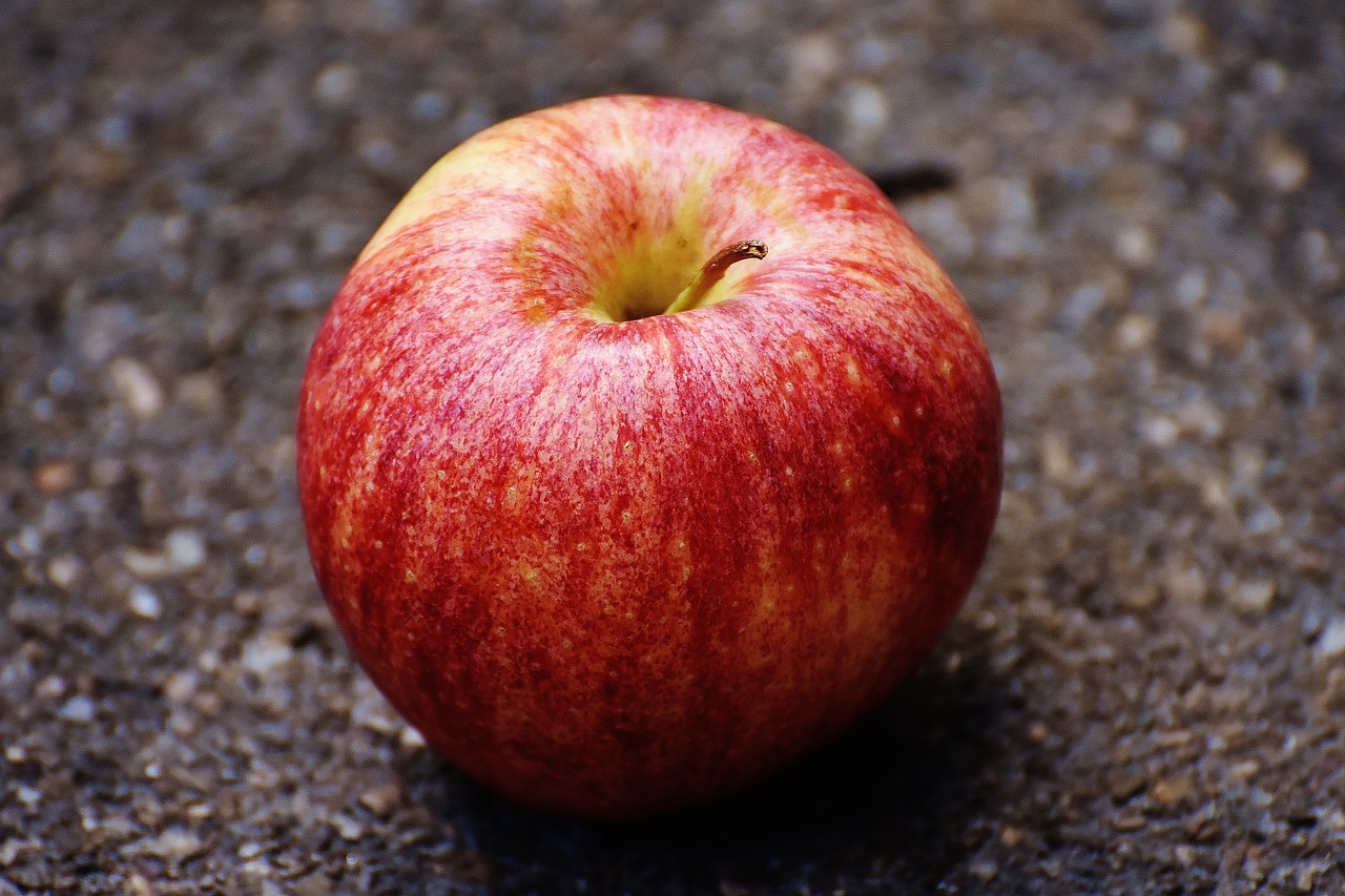 apple red delicious free photo