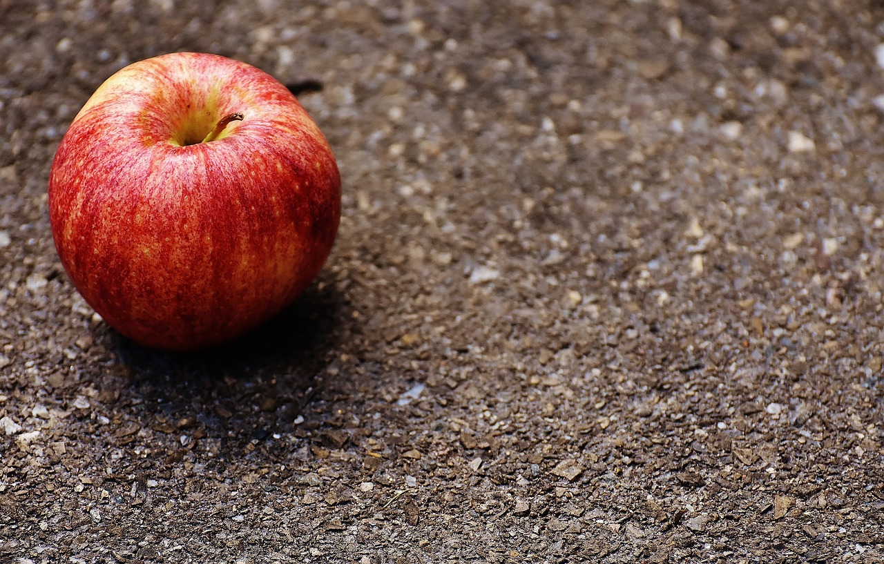 apple red delicious free photo