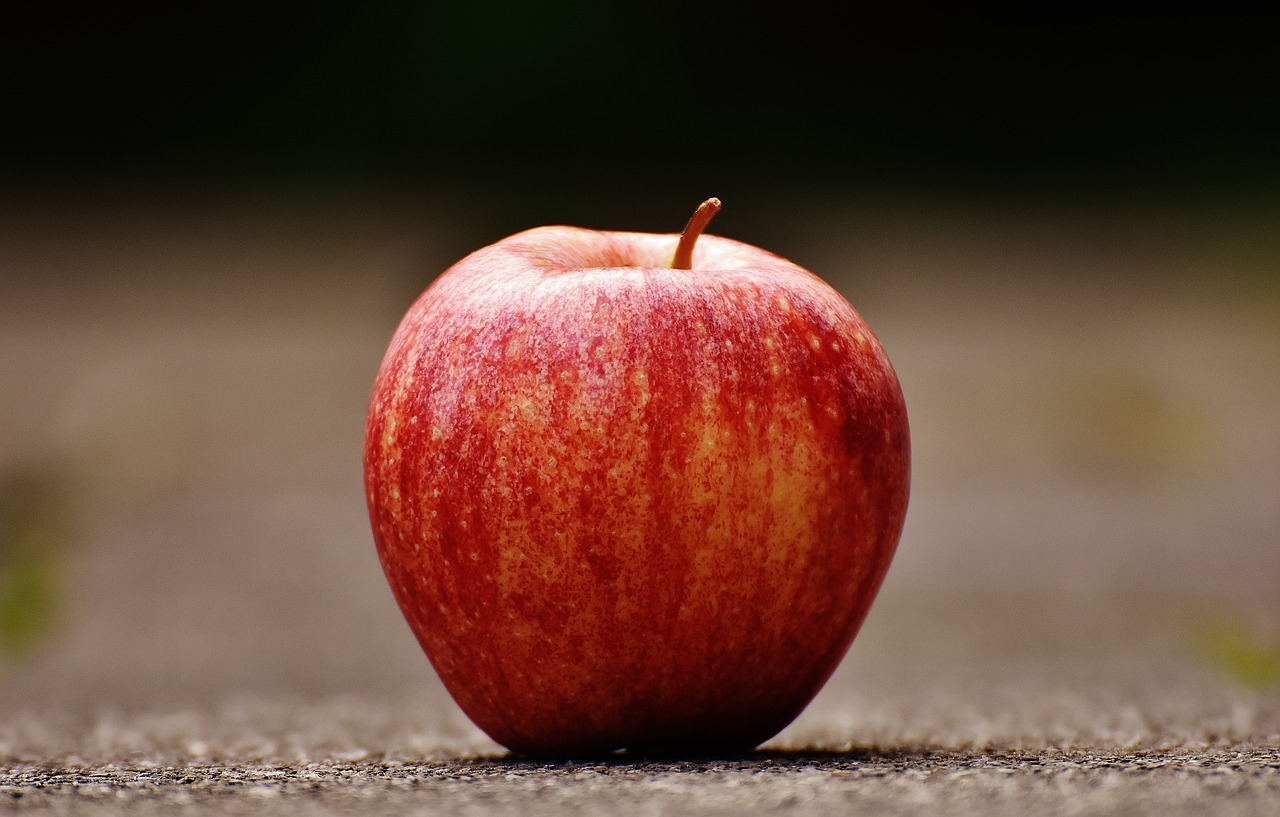 apple red delicious free photo