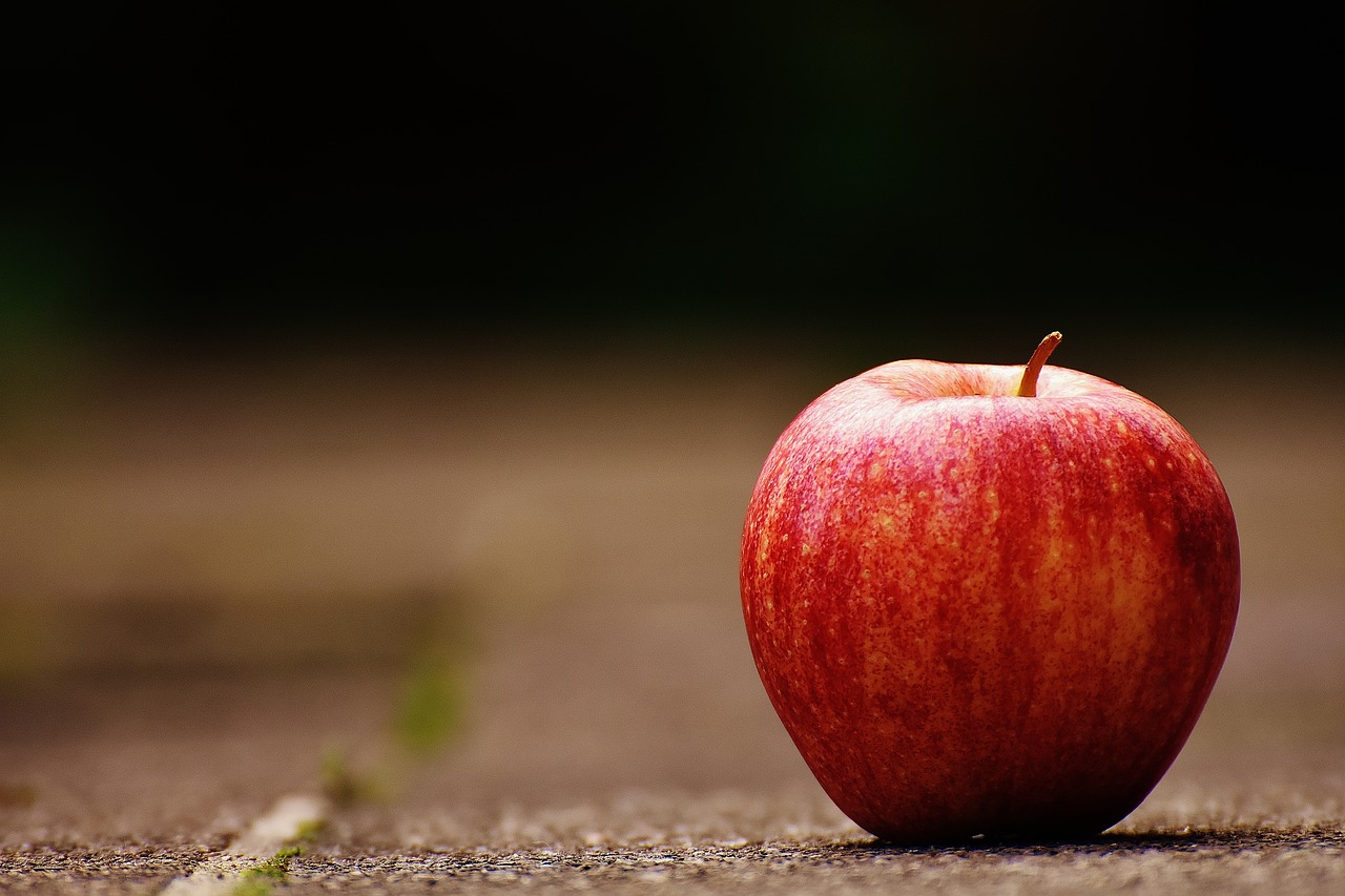 apple red delicious free photo