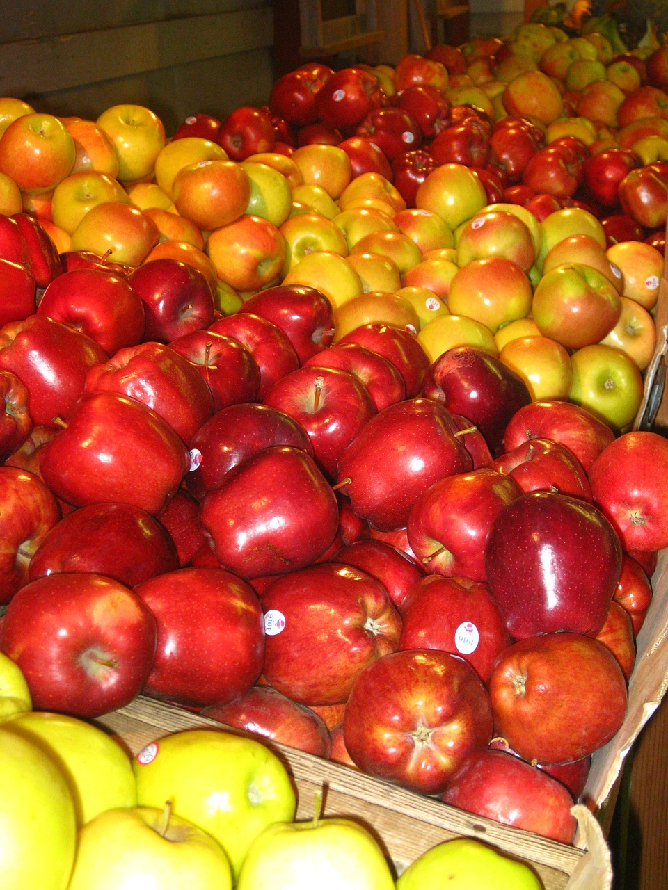 apple harvest fall free photo