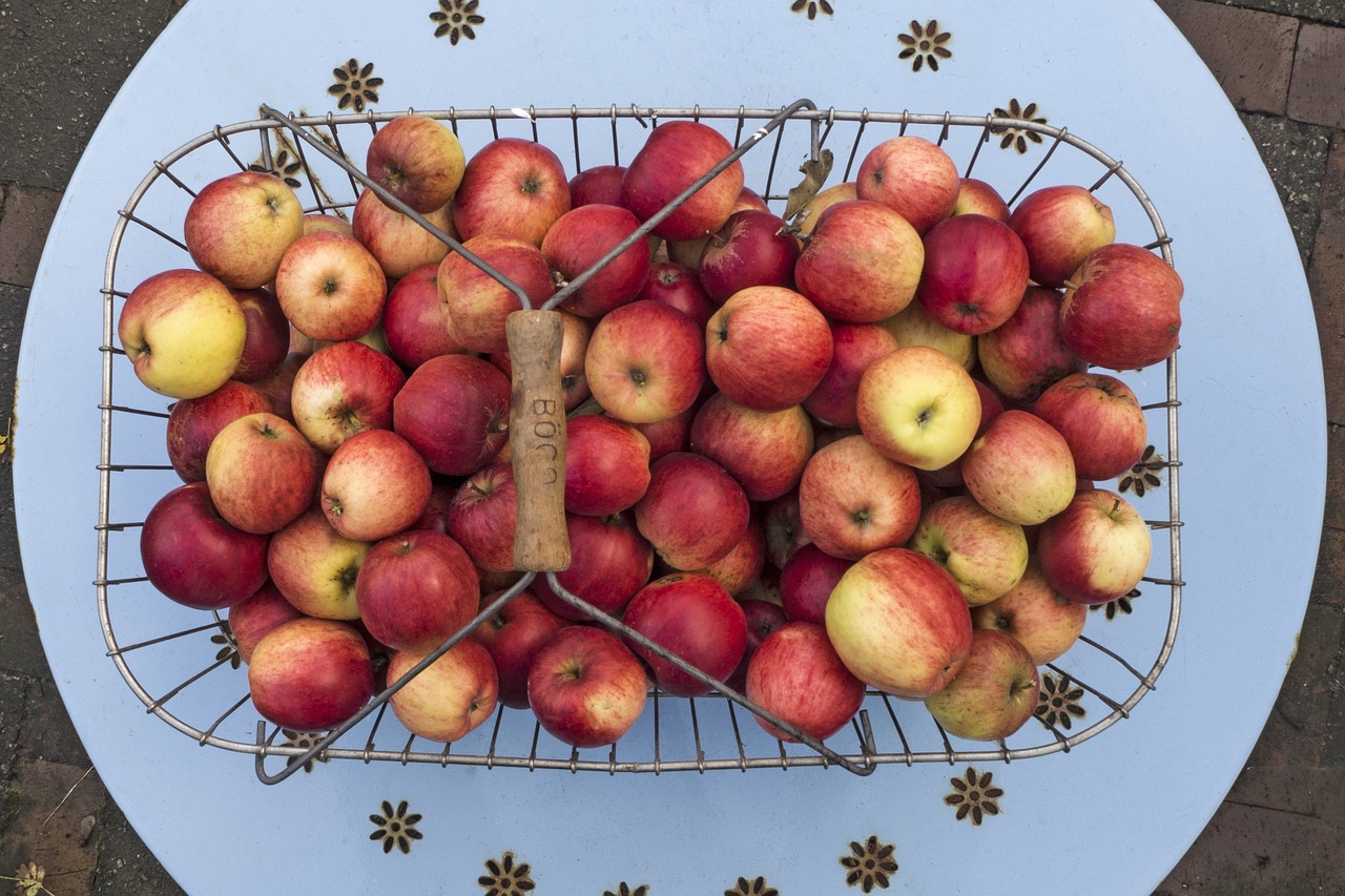 apple boskoop pome fruit free photo