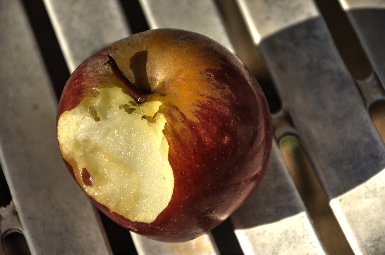 apple fruit healthy free photo