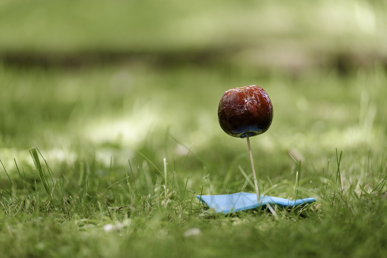 apple candy apple food free photo