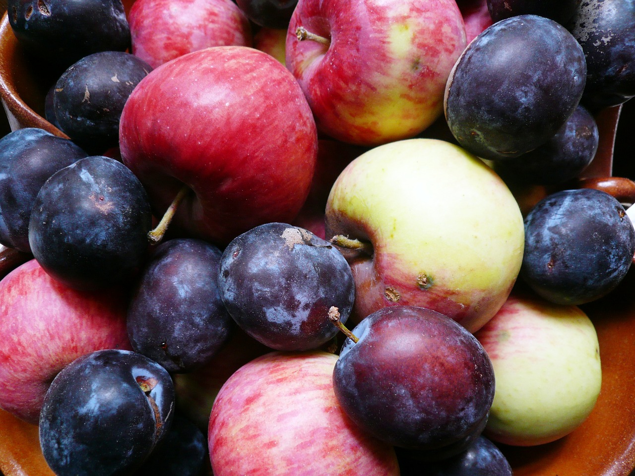 apple plum fruit free photo