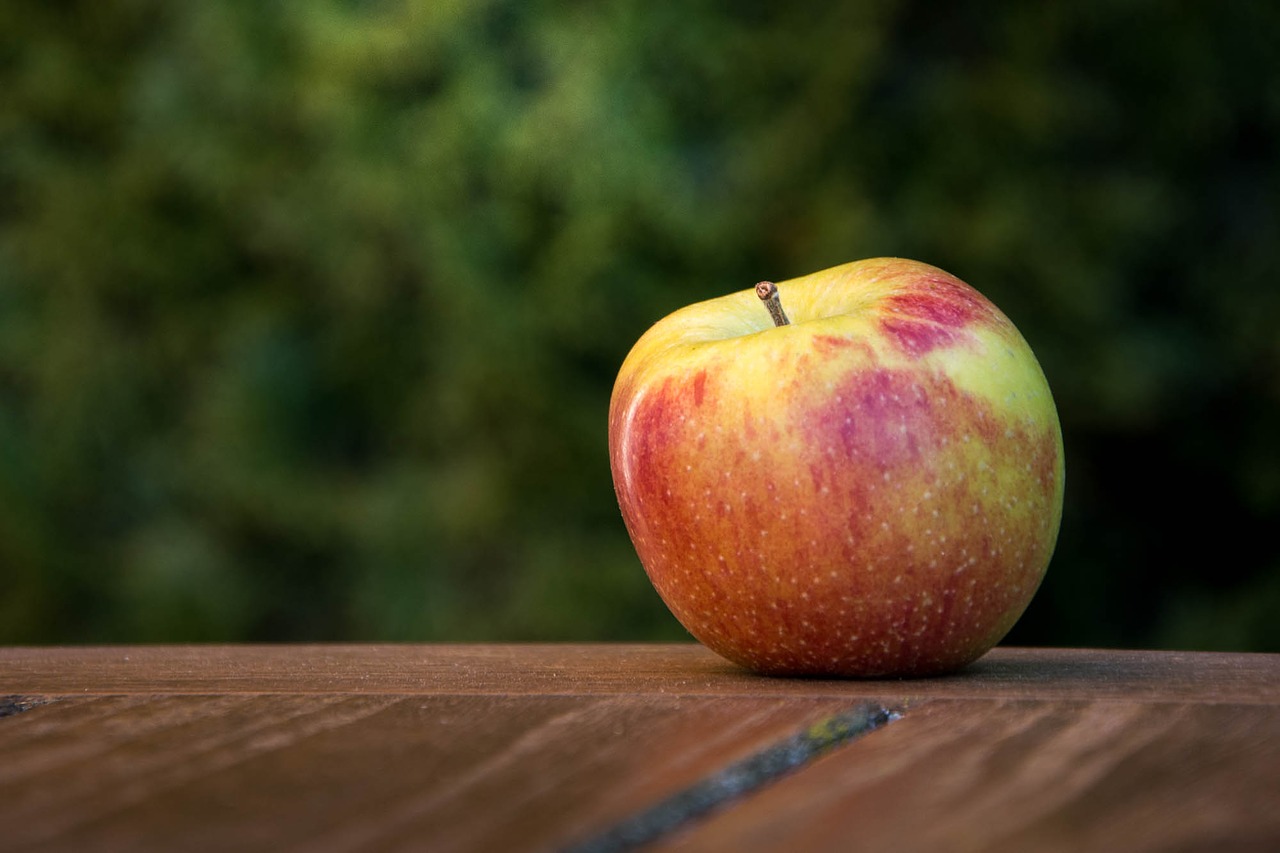 apple fruit fall free photo