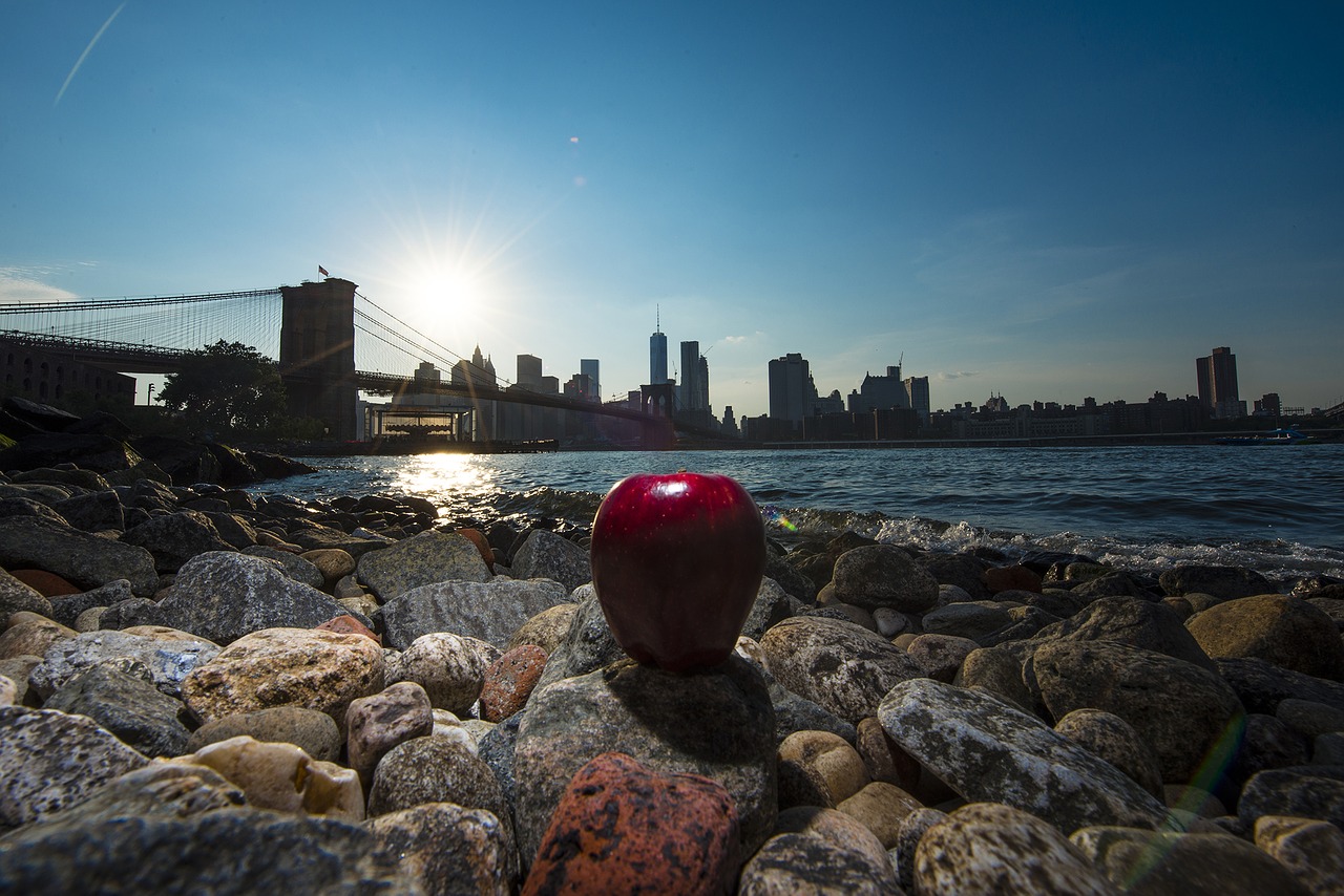 apple new york new york city free photo