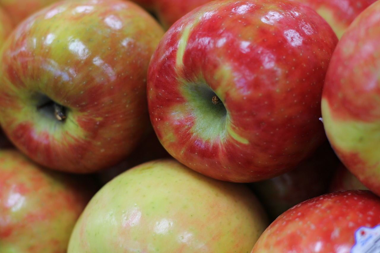 apple fruit fresh free photo