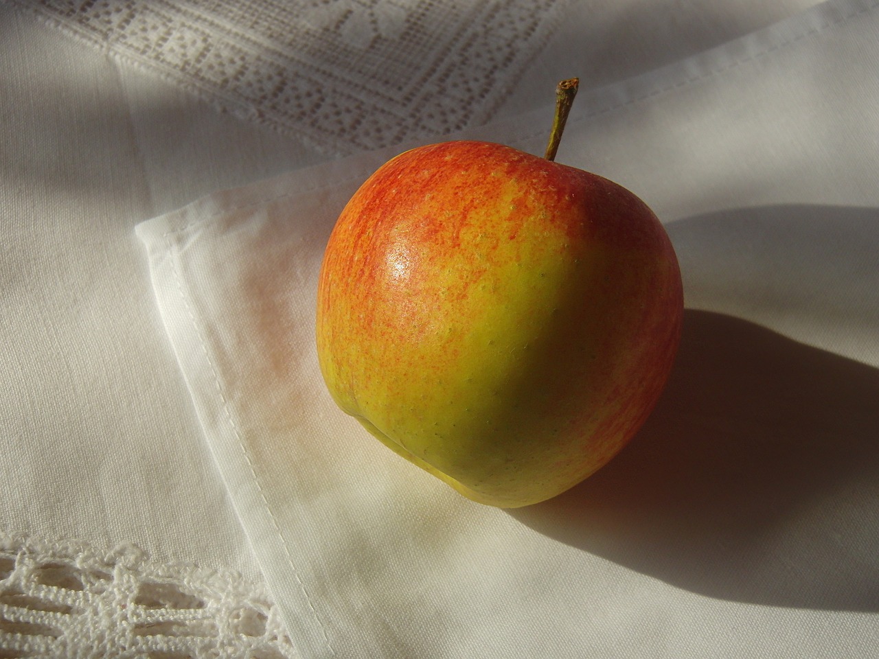 apple tablecloth table decorations free photo