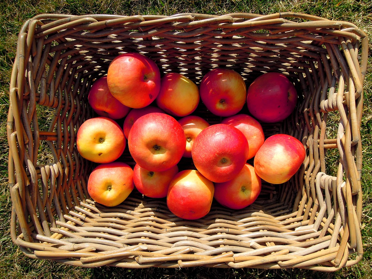 apple fruit basket free photo