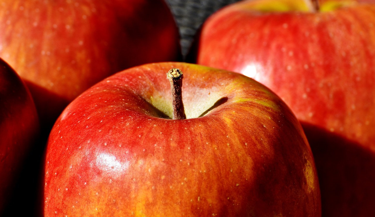 apple fruit ripe free photo