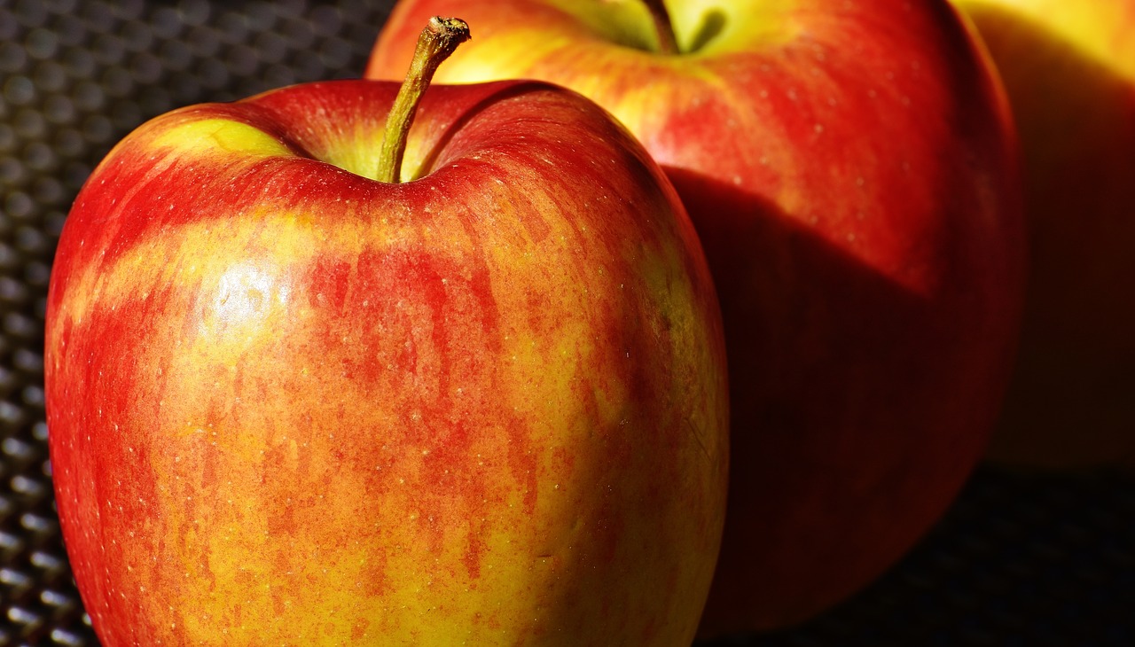 apple fruit ripe free photo