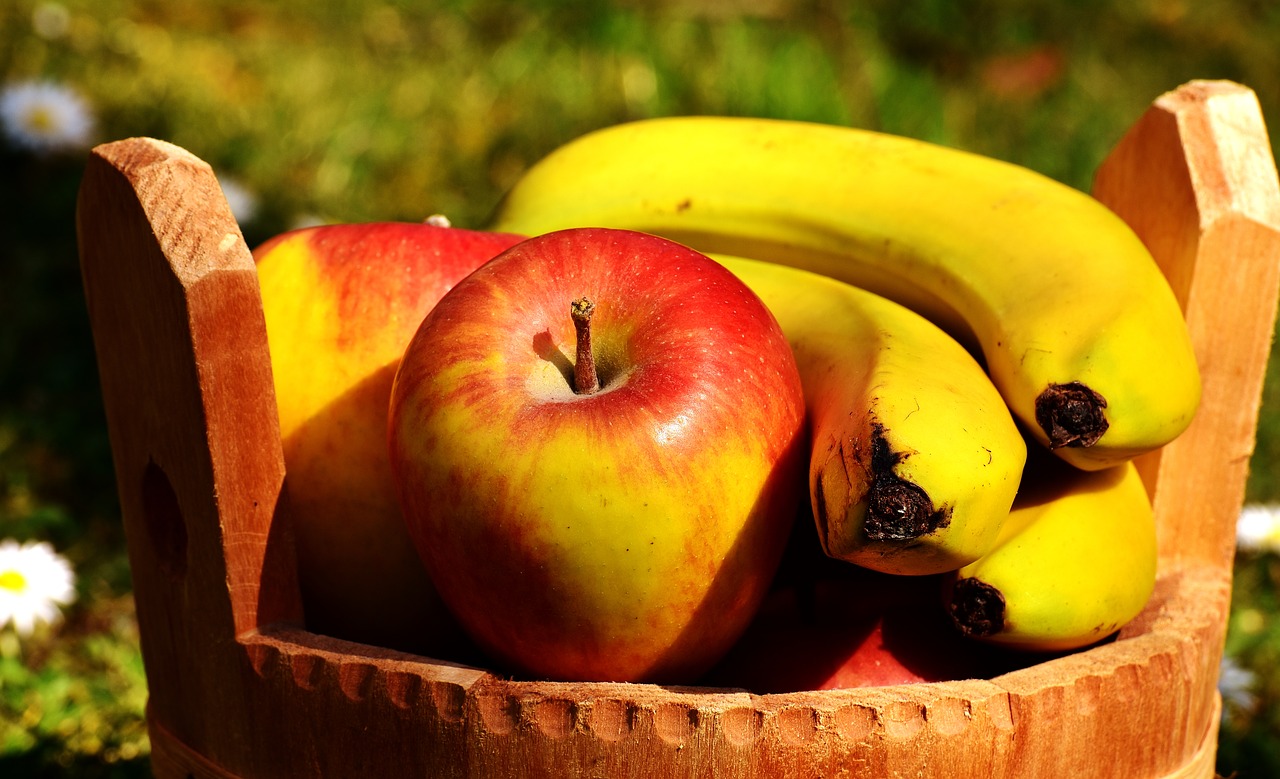 apple fruit ripe free photo