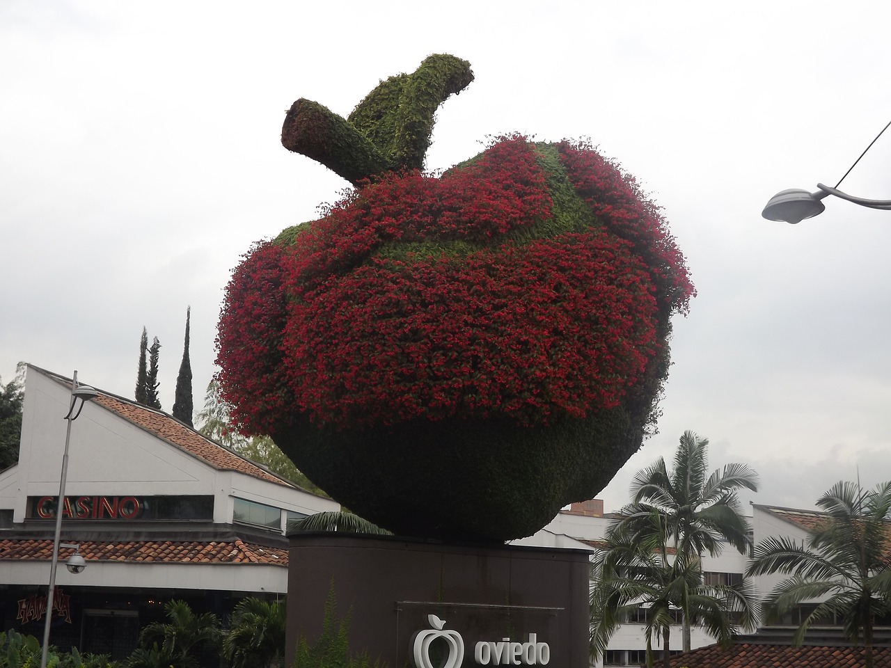 apple medellin colombia free photo