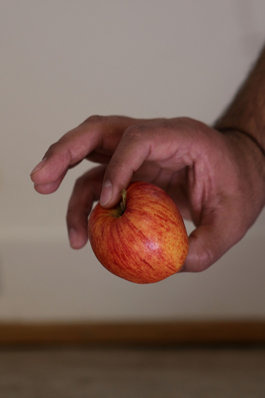 apple fruit red free photo