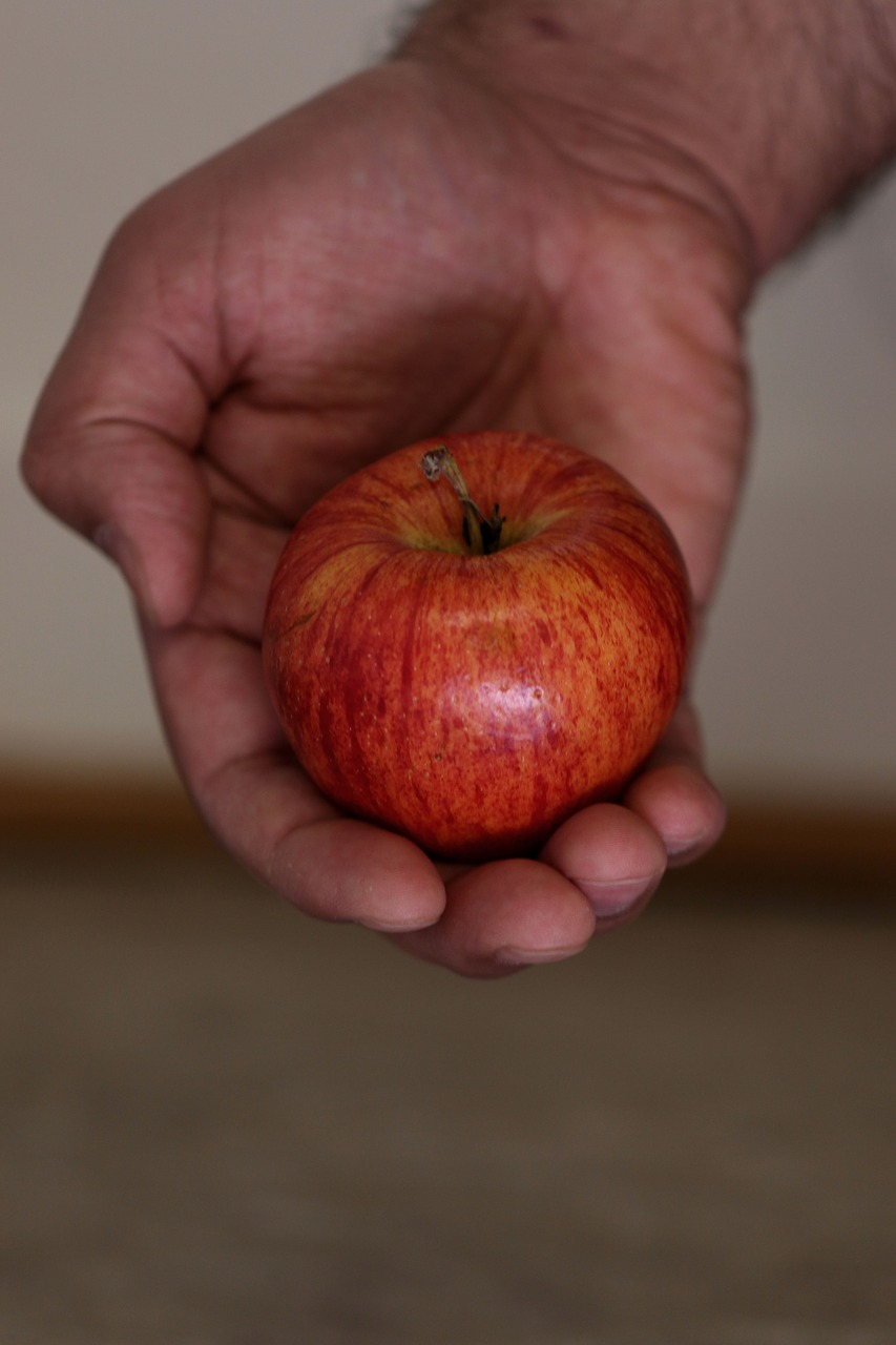 apple fruit red free photo